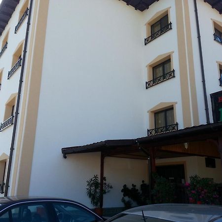 Vila Romanitza Darmanesti (Bacau) Exterior foto